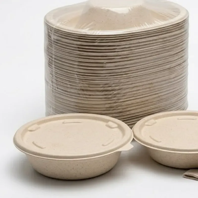 Chuk 750 ml Biodegradable Delivery Round Container with Lid for Parties, Catering & Family Events (Pack-500 pcs)