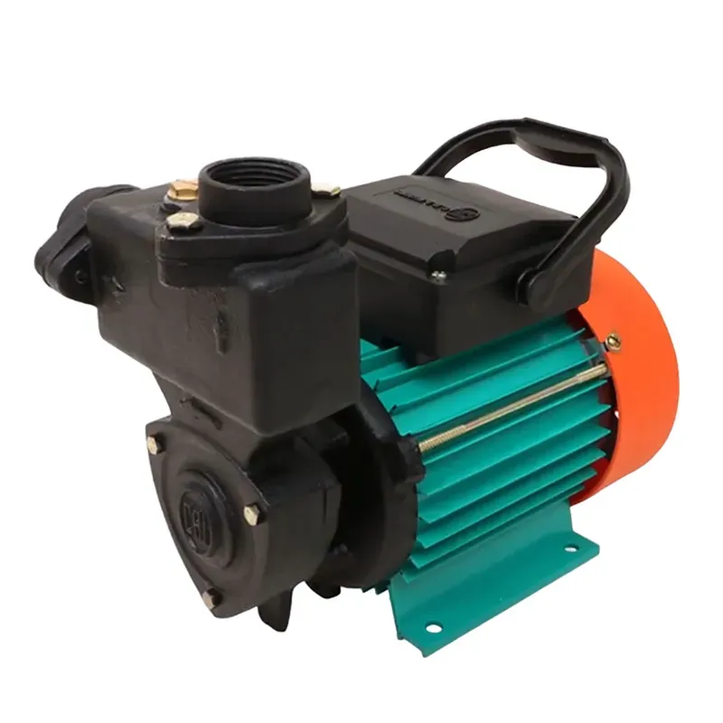 CRI 1 HP Single Phase Copper Winding Mini Self Priming Monoblock Pump, 35 m Head, 25 x 25 mm (ELSA 105)