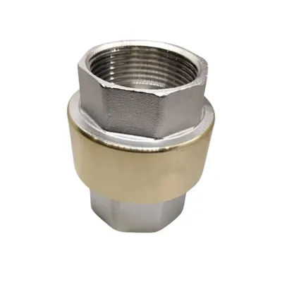 1-1/4 Inch (32 mm) Brass Material Vertical Non Return Valve (NRV)