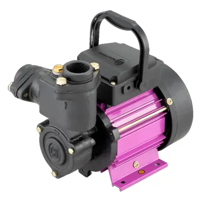 CRI 1 HP 1Phase Copper Winding Mini Self Priming Monoblock Pump, 35 m Head, 25 x 25 mm (MIKI 100)