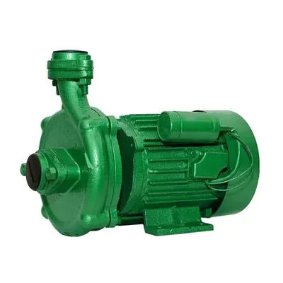 Lakshmi 1 HP Single Phase Centrifugal Monoblock Pump, 25 x 25 mm