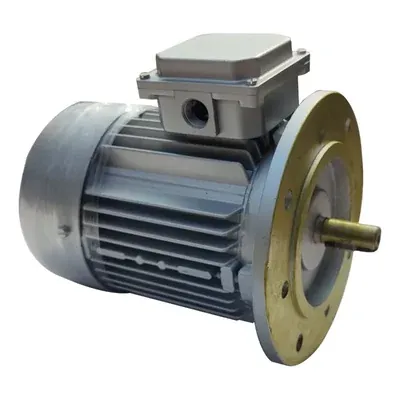 ELMECH 1 HP 4 Pole Flange Mounted Three Phase A.C. Induction Motor & ISI Certified