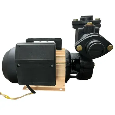 Heavy Duty 1 HP Single Phase Copper Winding Self-Priming Monoblock Pump, 34 m Head, 25 x 25 mm