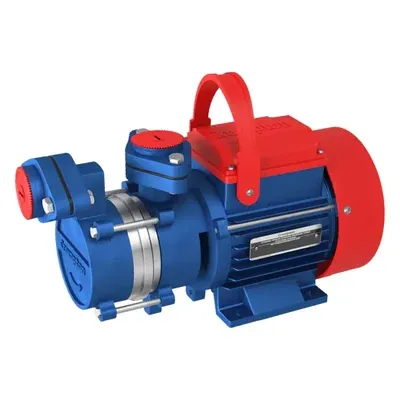 Crompton 1 HP Single Phase Self Priming Monoblock Pump, 108 ft Max Head, 25 x 25 mm (AQUAGOLD 100-33)