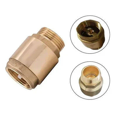 1 Inch Brass NRV Valve