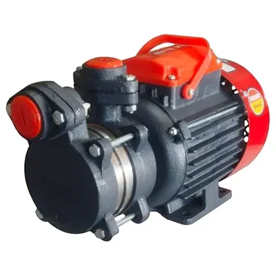 Riva Gold 1 HP 1Phase Copper Winding Self Priming Monoblock Pump, 33 m Head, 25 x 25 mm