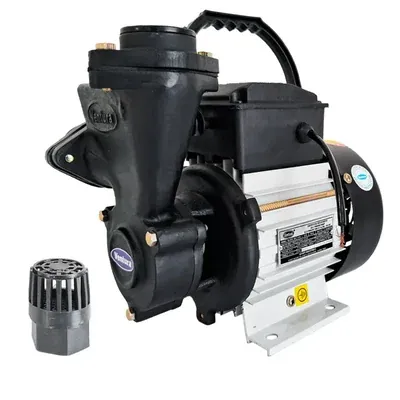 Ventura 1 HP Single Phase Copper Winding Regenerative Self Priming Monoblock Pump, 25 mm (SILVER 100)