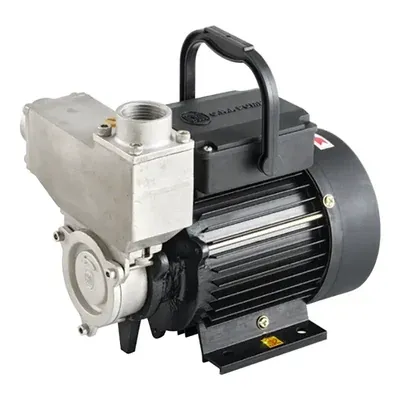 CRI 1 HP 1Phase Copper Winding Self Priming Monoblock Pump, 30 m Head, 25 x 25 mm (STEELIX MINI 100)