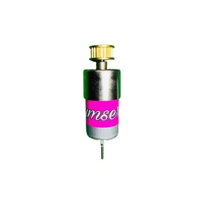 HUMSER 12 V 10 RPM, 24 V 20 RPM High Torque Self-Lock DC Motor