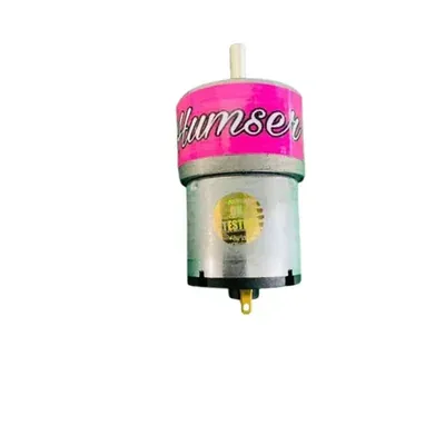 HUMSER 12 V Brushed DC Gear Motor, 100 RPM