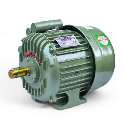 SONEE-DX 2 HP Single Phase 4 Pole 1440 RPM Foot Mounted AC Induction Motor, Cast Iron Body (GOLD)