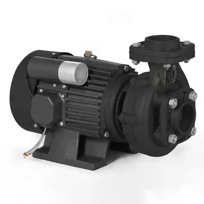 CG Power and Industrial Solutions Ltd. 2 HP Power Single Phase Copper Winding Centrifugal Monoblock Pump, 50 x 40 mm (CGXMB2090K)