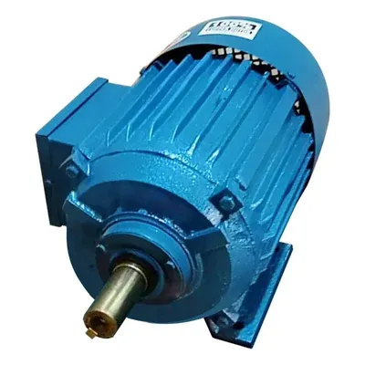 KBS 2 HP 1440 RPM Foot Mounted Single Phase Copper Winding AC Induction Motor