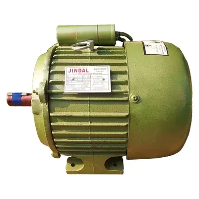 Jindal 3 HP 1400 RPM Foot Mounted Single Phase Copper Winding AC Induction Motor, 1 Year Warranty