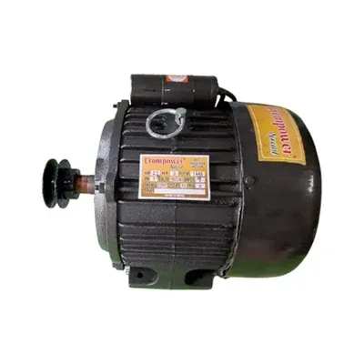 CROMPOWER 3 HP Special Foot Mounted Copper Winding Induction Motor With 3 Inch Pulley, 1440 RPM