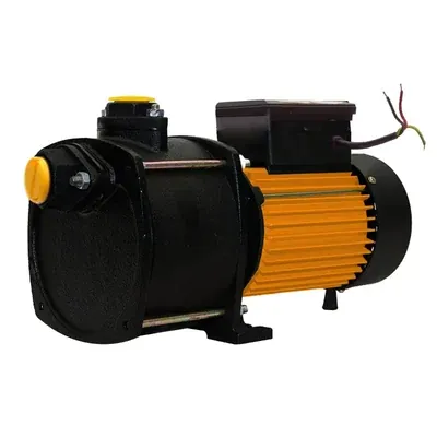 Crompton 1 HP Single Phase Shallow Well Jet Pump, 118 ft Max. Head & 46 LPM, 25 x 25 mm (SWJ100A-36)