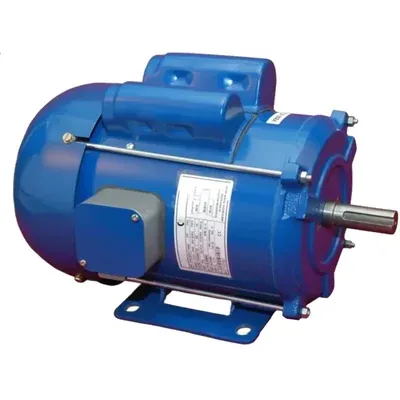 CG Power and Industrial Solutions Ltd. 1 HP GF6133 Single Phase Copper Winding 2 Pole Foot Mounted AC Motor