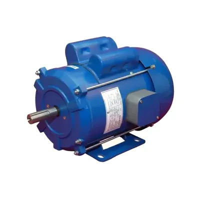CG Power and Industrial Solutions Ltd. 1 HP GF6054 Single Phase Copper Winding 4 Pole Foot Mounted AC Motor