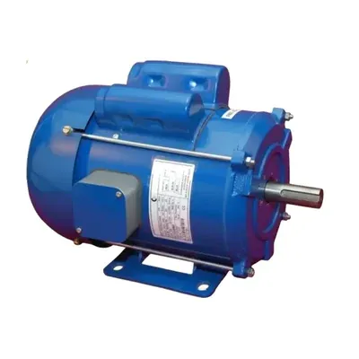 CG Power and Industrial Solutions Ltd. 0.5 HP GF6132 Single Phase Copper Winding 2 Pole Foot Mounted AC Motor
