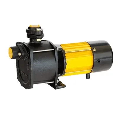 CG Power and Industrial Solutions Ltd. 1 HP Single Phase Shallow Well Pump, C.I. Body, 40 m Max. Head, 25 x 25 mm (CGDSW1080C), 1 Year Brand Warranty