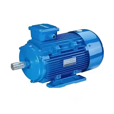 CG Power and Industrial Solutions Ltd. 2 HP Single Phase Motor, Aluminium Winding, 1500 RPM (GF 6902)