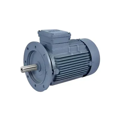 Havells 0.5 HP (F4053) Single Phase 4 Pole Flange Mounted AC Motor 1500 RPM