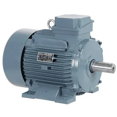 Havells 2 HP (ES4200) Single Phase 4 Pole AC Motor, 1500 RPM, Foot Mounted