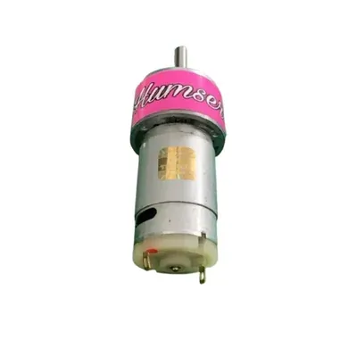 HUMSER 12 V 300 RPM High Torque DC Gear Motor